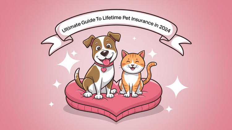 Lifetime Pet Insurance