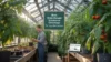 Best Greenhouse Insurance Coverage for Your Protection - Post Thumbnail