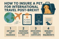 Best How to insure a pet for international travel post-Brexit?